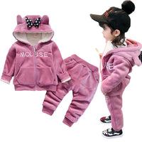 Warm Baby Girls Clothing Set Winter Thick Plush Cotton Clothing Sets For Baby Girls Hoodies And Pa