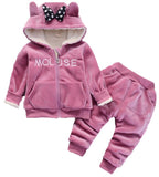 Warm Baby Girls Clothing Set Winter Thick Plush Cotton Clothing Sets For Baby Girls Hoodies And Pa